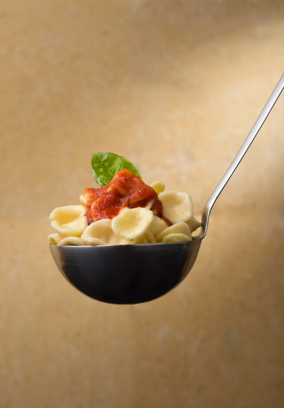 il Coppino con delle orecchiete al sugo